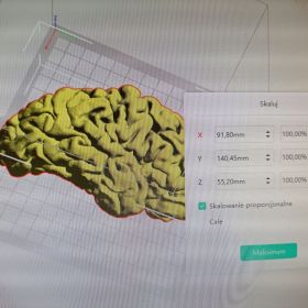Model 3D