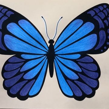 Motyl